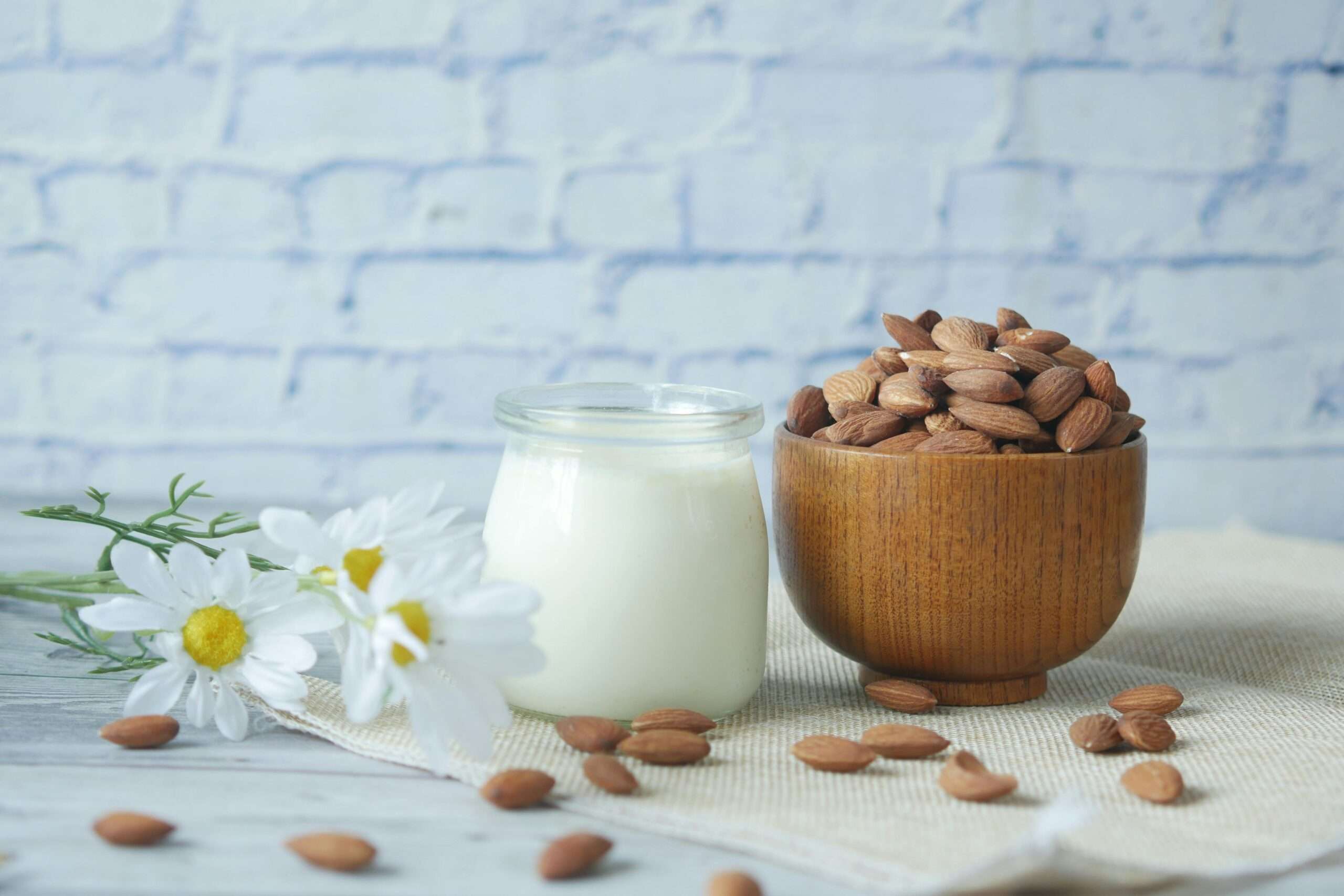 Plant-Based Milk